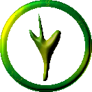 Your company logo